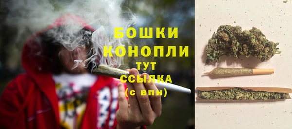 сатива Осташков