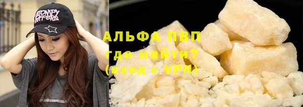 сатива Осташков