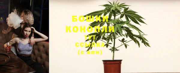 сатива Осташков