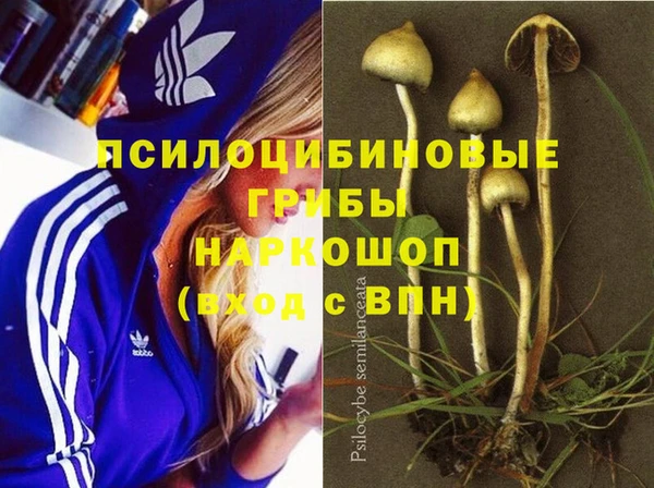 сатива Осташков