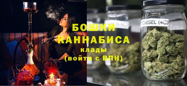 сатива Осташков