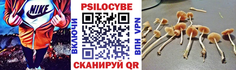 Псилоцибиновые грибы прущие грибы  мориарти формула  Железногорск  хочу наркоту 