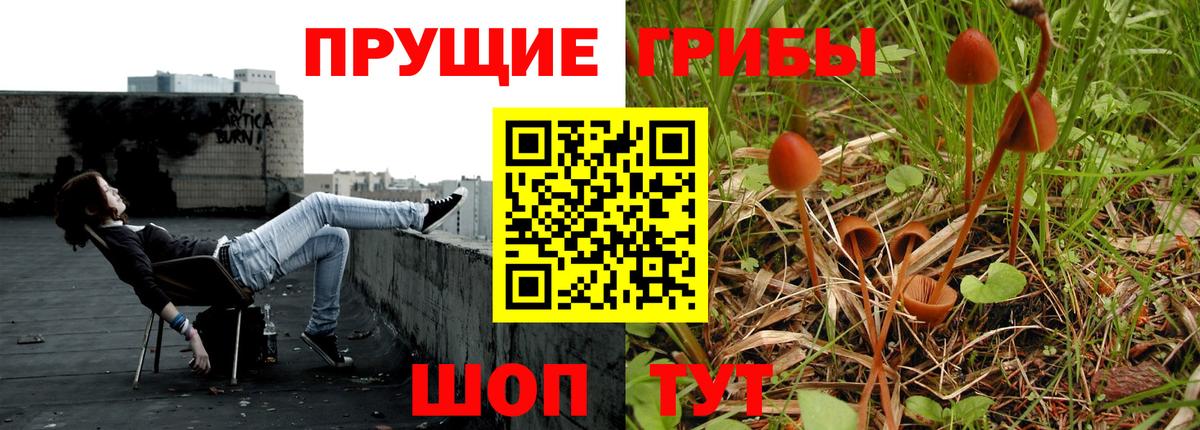 Галлюциногенные грибы Cubensis  Псилоцибиновые грибы MAGIC MUSHROOMS  Железногорск 